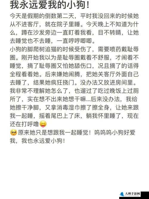 宝贝～腿开大点我添添公视频：探索别样亲密体验